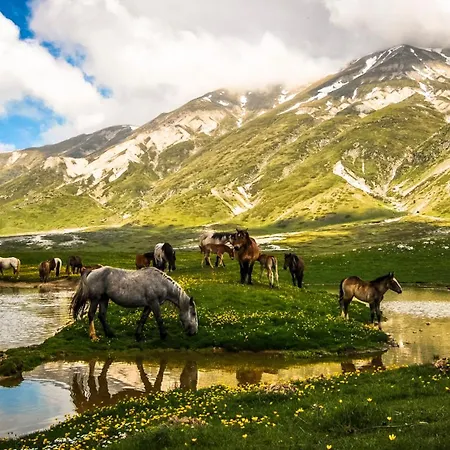 Panfilo Alojamento de Turismo Rural Cellino Attanasio