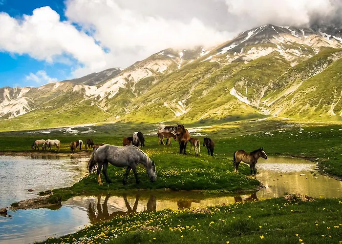 Panfilo Фермерский дом Cellino Attanasio